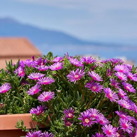 Sine Tempore Appartement *