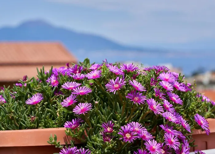 Sine Tempore Appartamento *